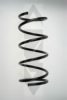 SPIDAN 85753 Coil Spring